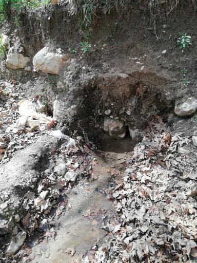 عکس چشمه تنگ گنجه یاسوج