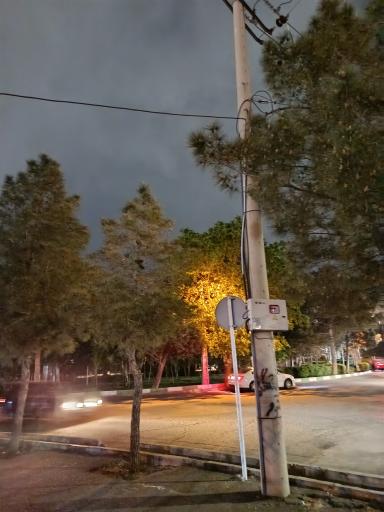 عکس میدان بنفشه