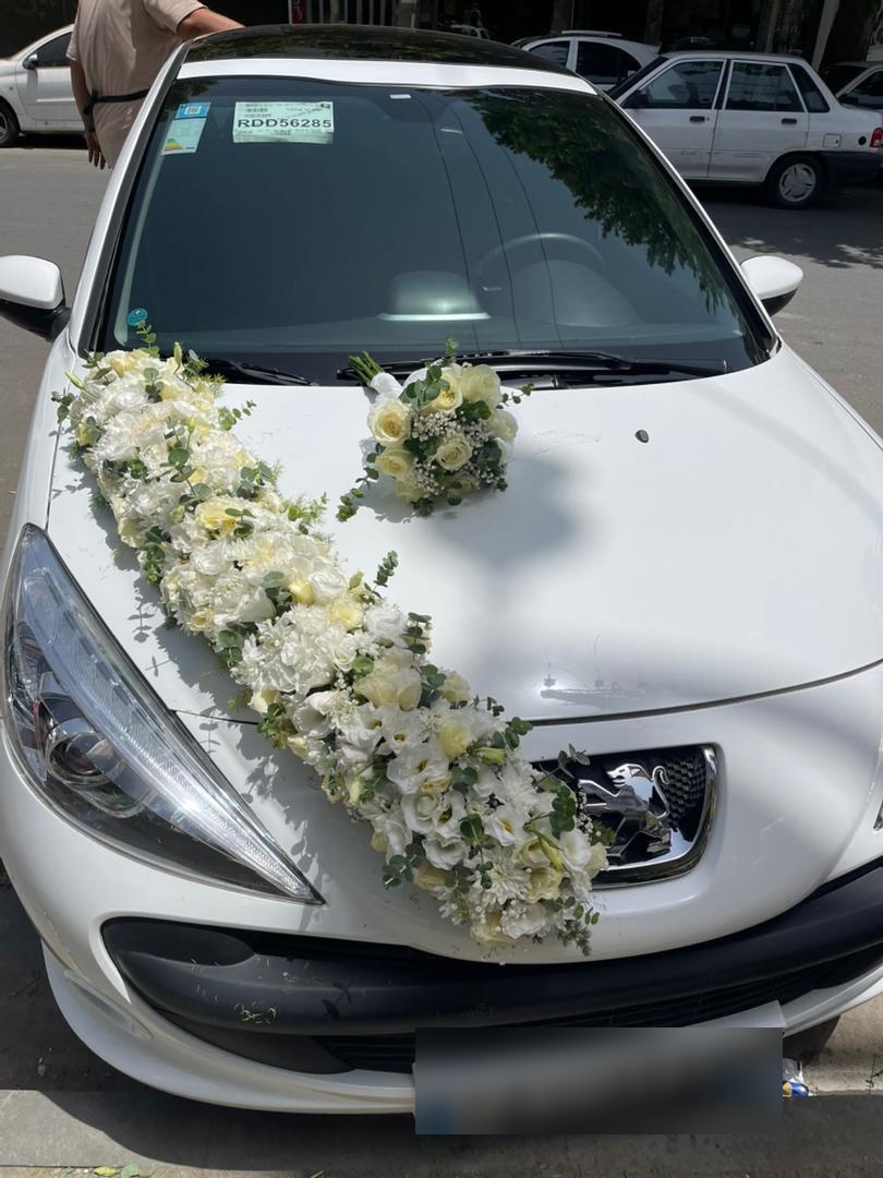 عکس گلسرای دلسا