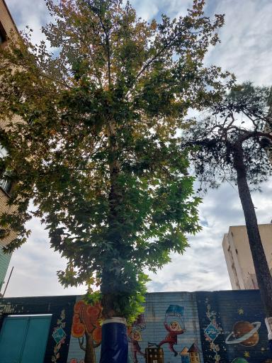 عکس مدرسه دخترانه دوره اول هیئت امنایی آزاده