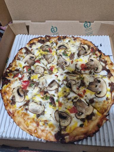 عکس پیتزا فلاویا 