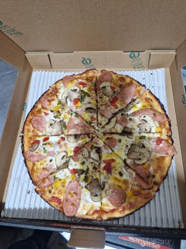 عکس پیتزا فلاویا 