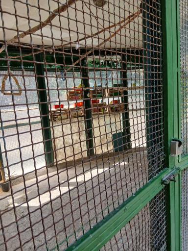 عکس باغ پرندگان بوستان ساعی