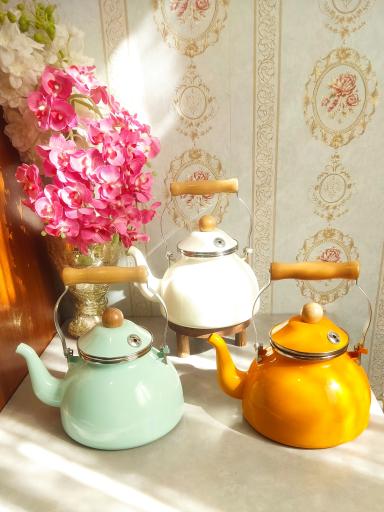 عکس خانه رویایی خانومی 