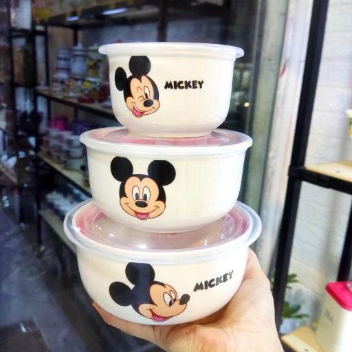 عکس خانه رویایی خانومی 