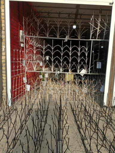 عکس حفاظ شاخ گوزنی فراهانی_لوکس حفاظ