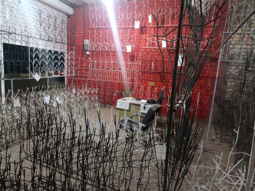 عکس حفاظ شاخ گوزنی فراهانی_لوکس حفاظ