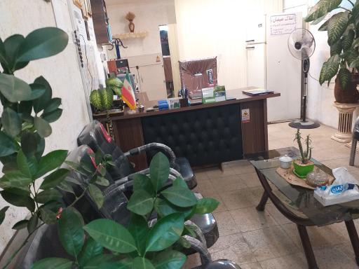 عکس املاک صیفیان