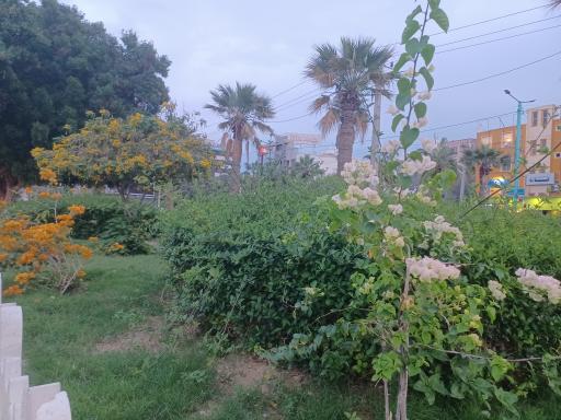 عکس پارک شهید دباغیان