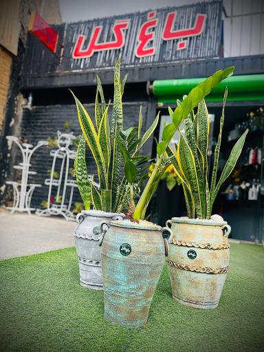 عکس مجموعه گل و گیاه باغ گل