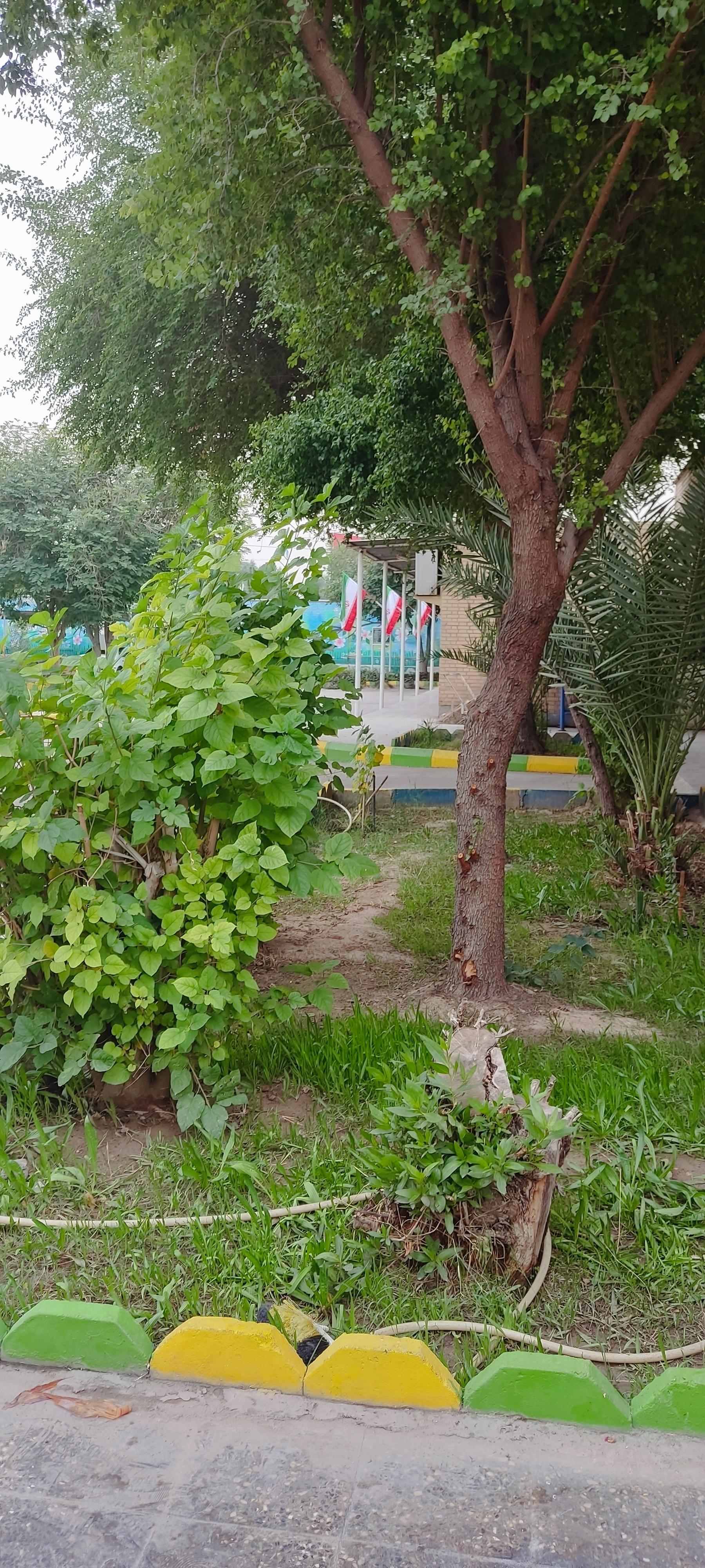 عکس مجتمع فرهنگی و ورزشی تندگویان