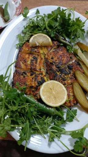 عکس کترینگ نون و ریحون