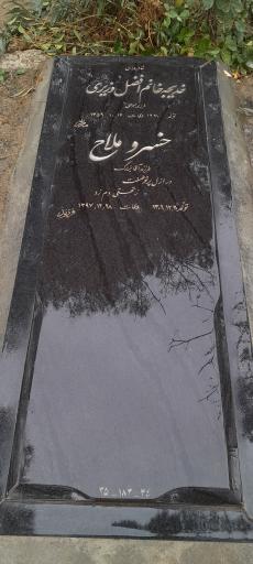 عکس مزار خدیجه افضل وزیری