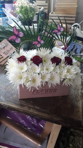 عکس گلفروشی بابونه 