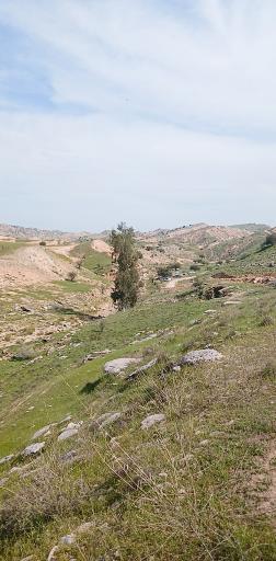 عکس استان کهگیلویه و بویراحمد