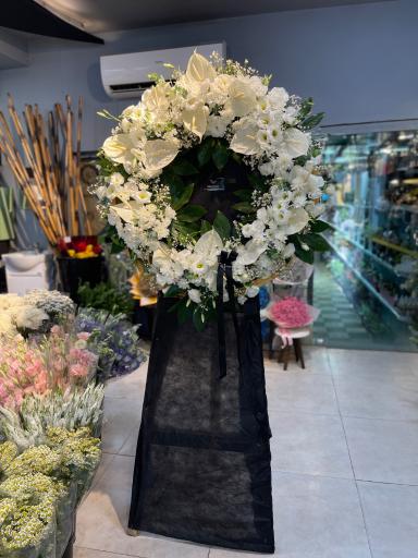 عکس مجموعه گل و گیاه باغ گل