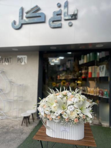 عکس مجموعه گل و گیاه باغ گل