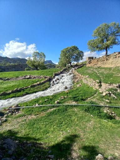 عکس استان کهگیلویه و بویراحمد