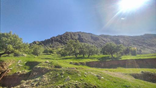 عکس استان کهگیلویه و بویراحمد