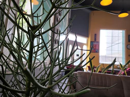 عکس کافه دُز