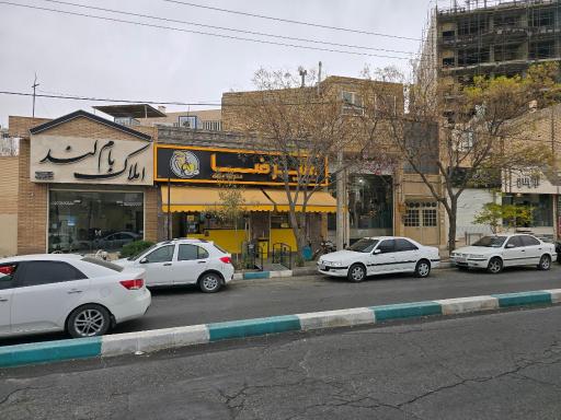 ویتامینه علیرضا