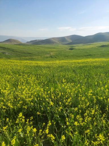 عکس استان کهگیلویه و بویراحمد