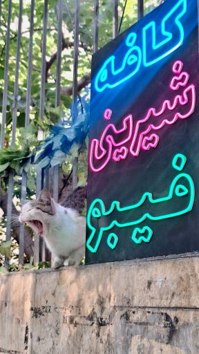 عکس کافه فیبو