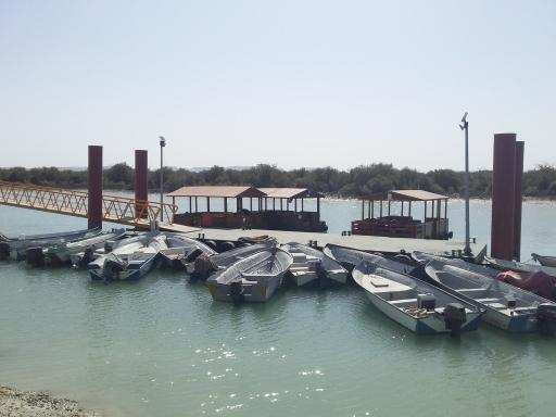 عکس قایق سواری و آلاچیق جنگل های گورزین