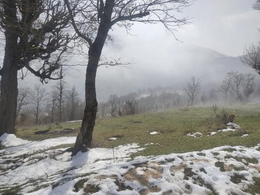 عکس افراتخته