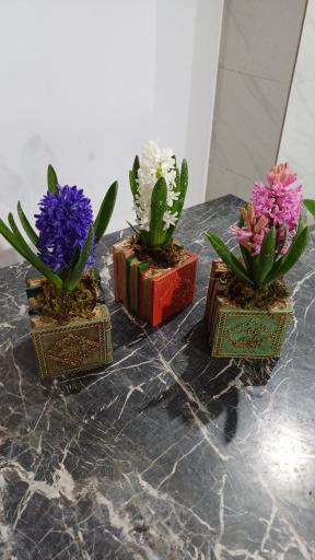 عکس گل فروشی آرا گل