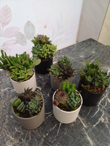 عکس گل فروشی آرا گل