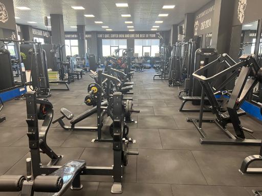عکس باشگاه بدنسازى اف جیم