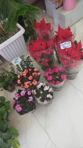 عکس گل فروشی آرا گل