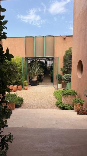 عکس گلخانه کاج