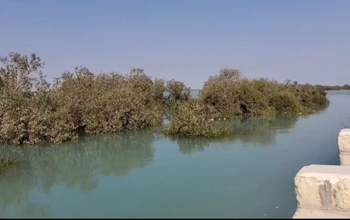 عکس قایق سواری و آلاچیق جنگل های گورزین