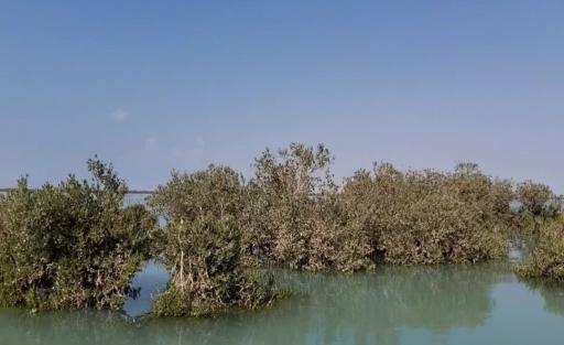 عکس قایق سواری و آلاچیق جنگل های گورزین