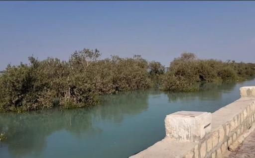 عکس قایق سواری و آلاچیق جنگل های گورزین