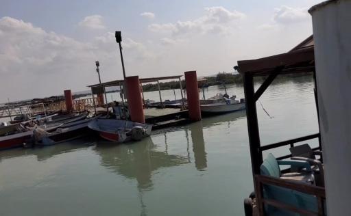 عکس قایق سواری و آلاچیق جنگل های گورزین