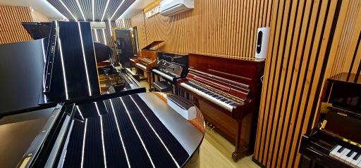 عکس پیانو مرکزی شعبه ۱