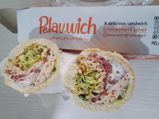 عکس ساندویچ سرد پلاویچ