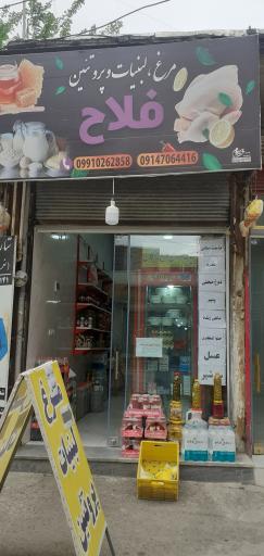 عکس مرغ لبنیات و پروتئین فلاح