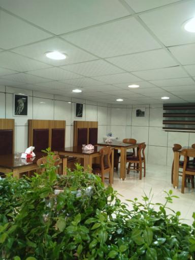 عکس فست فود دوستی 