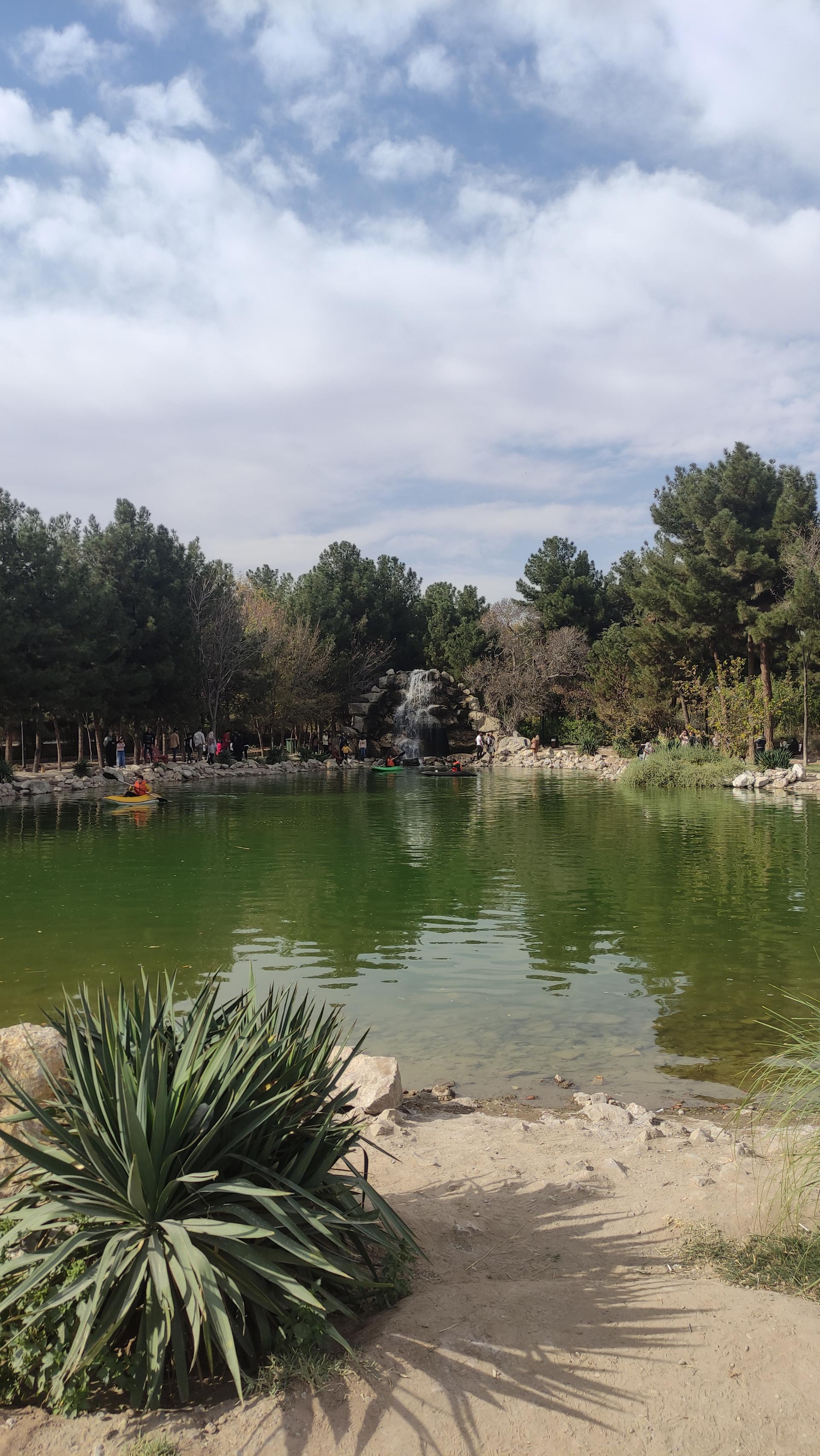 عکس برکه ماهی