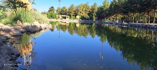 عکس برکه ماهی