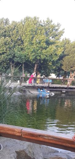 عکس برکه ماهی