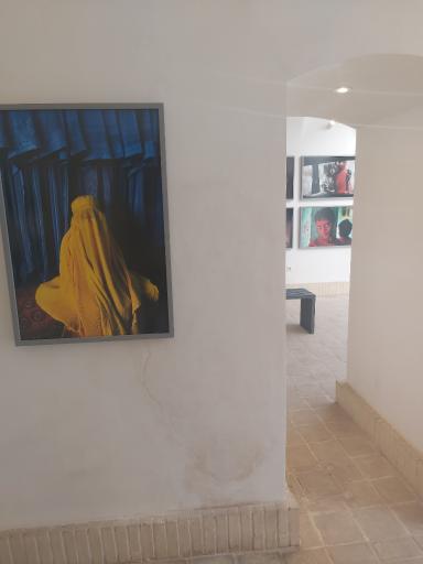 عکس خانه استیو