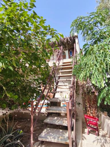 عکس بوم گردی پیسو