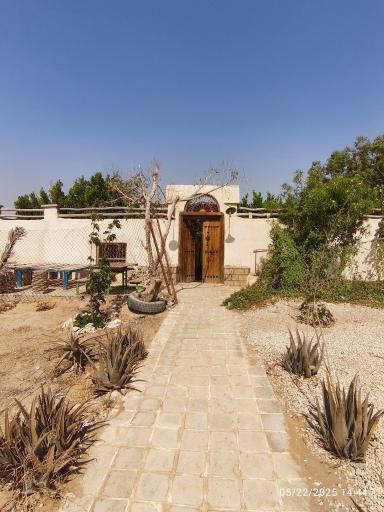 عکس بوم گردی پیسو
