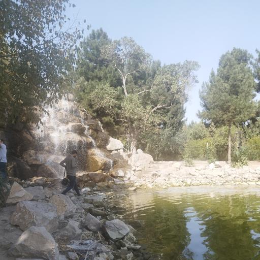 عکس برکه ماهی