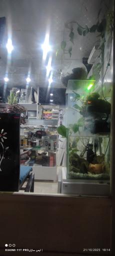 مرکز تعمیرات تخصصی ایمن سازان